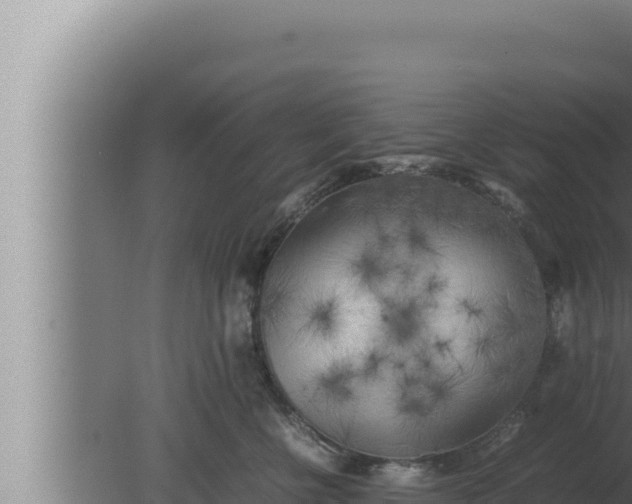 X0000080110570200612221808