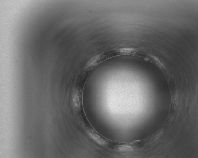 X0000080110572200612221808