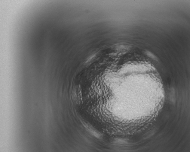 X0000080110573200612221808