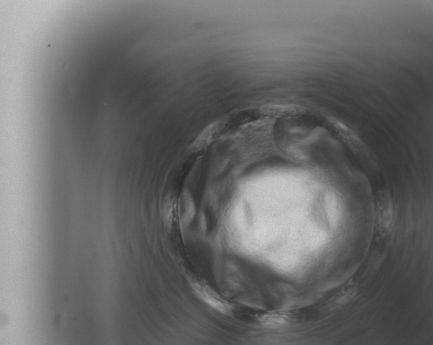 X0000080110574200612221808