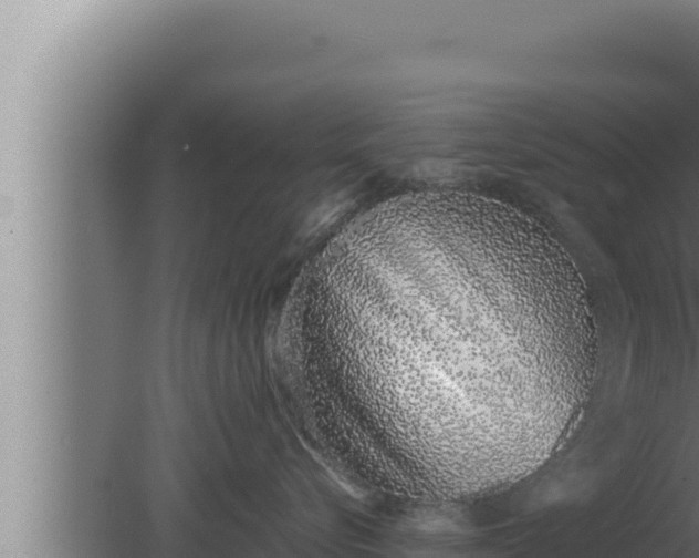 X0000080110576200612221808