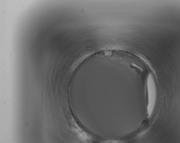 X0000080110577200612221807