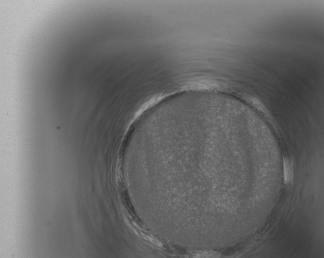 X0000080110579200612221807