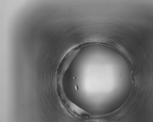 X0000080110580200612221807