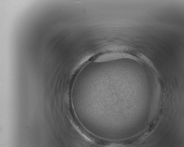 X0000080110581200612221807