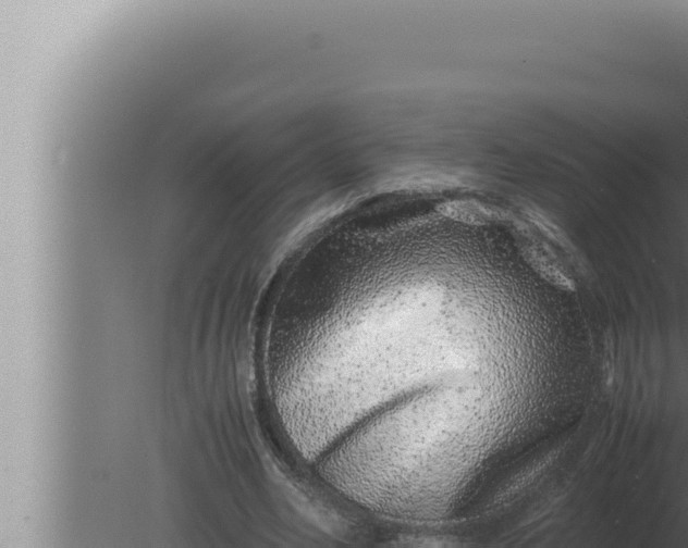 X0000080110582200612221807