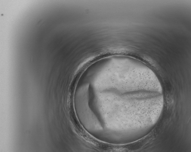 X0000080110583200612221807