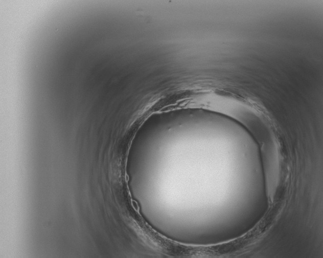 X0000080110585200612221807