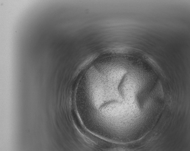 X0000080110586200612221807