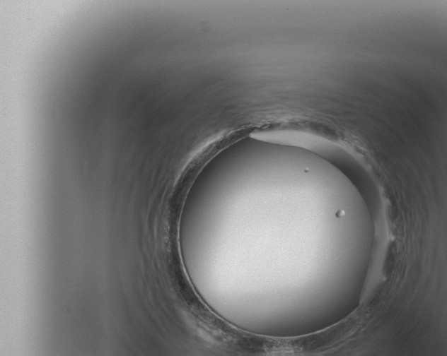 X0000080110587200612221807