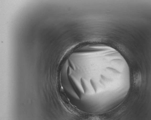 X0000080110588200612221807