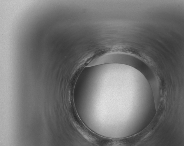 X0000080110589200612221807