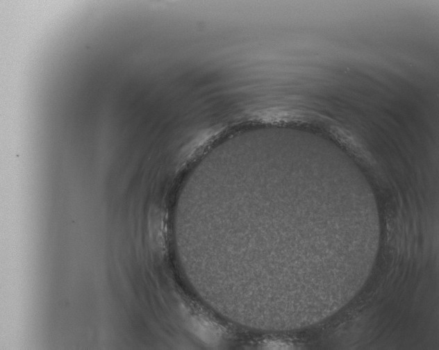 X0000080110592200612221807