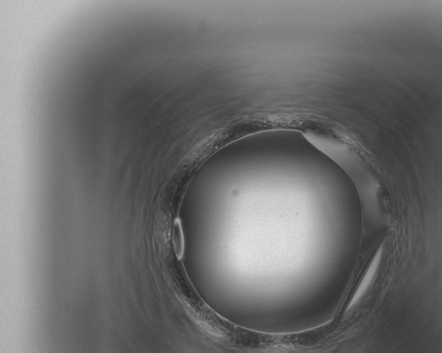 X0000080110593200612221807