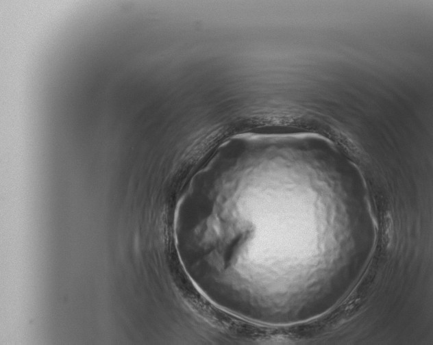 X0000080110594200612221807