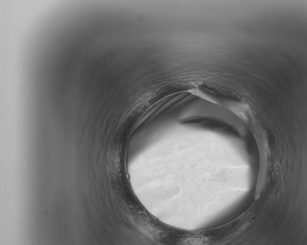 X0000080110595200612221807