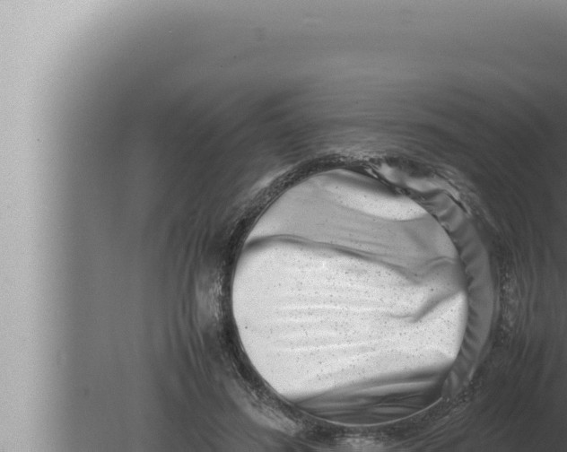 X0000080110596200612221807