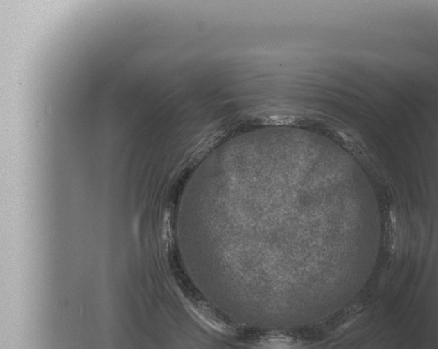 X0000080110598200612221807