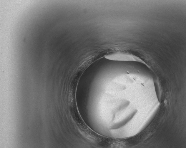 X0000080110599200612221806