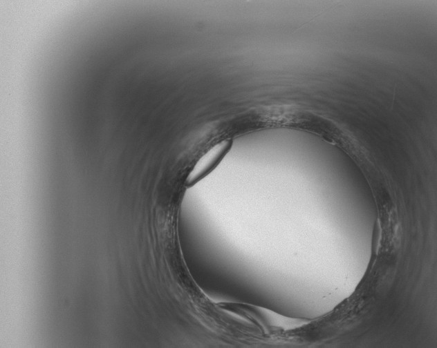 X0000080110601200612221806