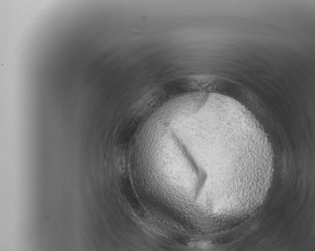 X0000080110602200612221806