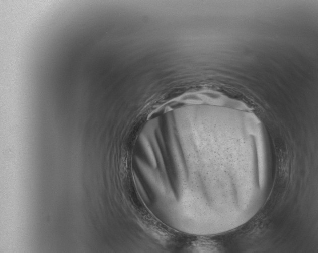 X0000080110603200612221806