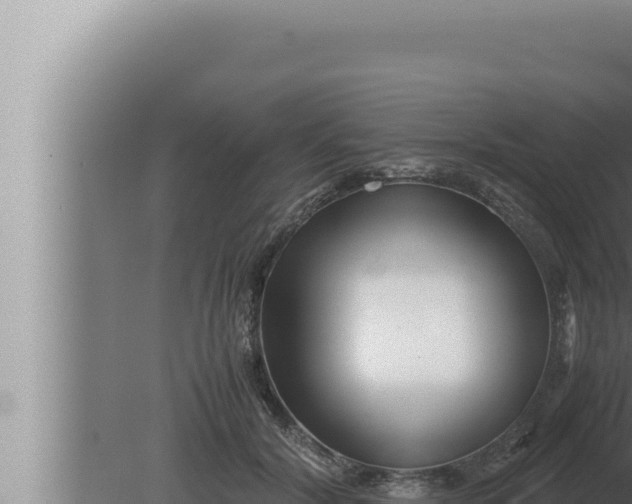 X0000080110604200612221806