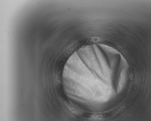 X0000080110606200612221806