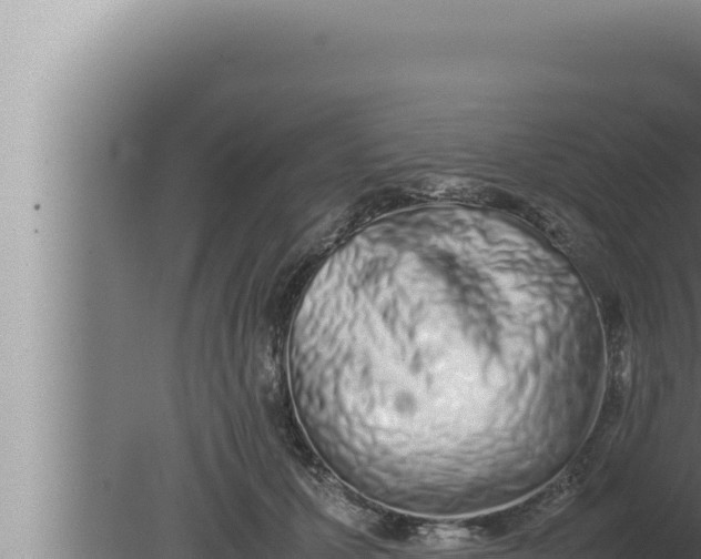 X0000080110607200612221806