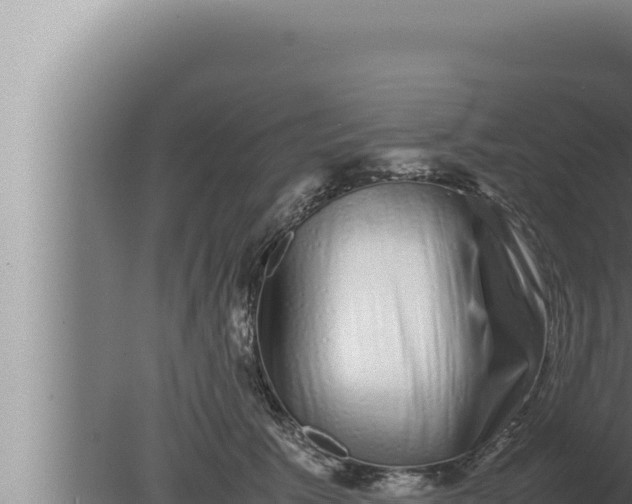 X0000080110609200612221806