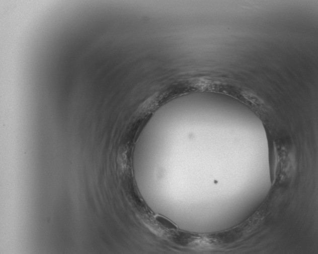 X0000080110611200612221806