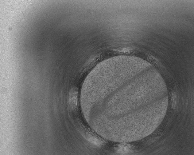 X0000080110612200612221806