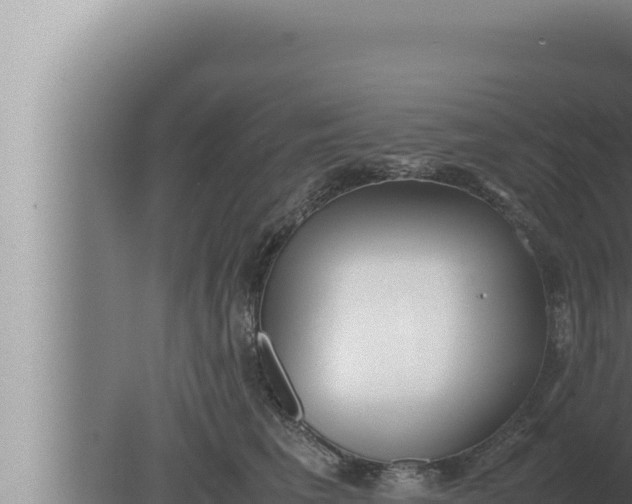 X0000080110613200612221806