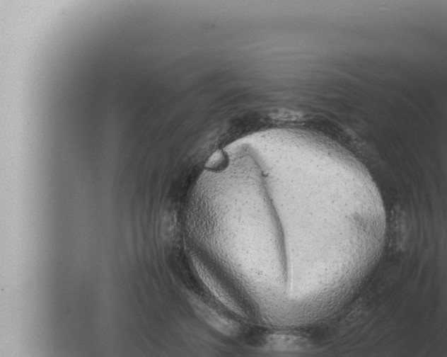 X0000080110614200612221806