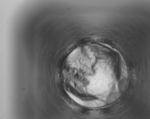 X0000080110615200612221806