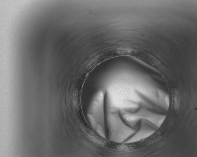 X0000080110616200612221806