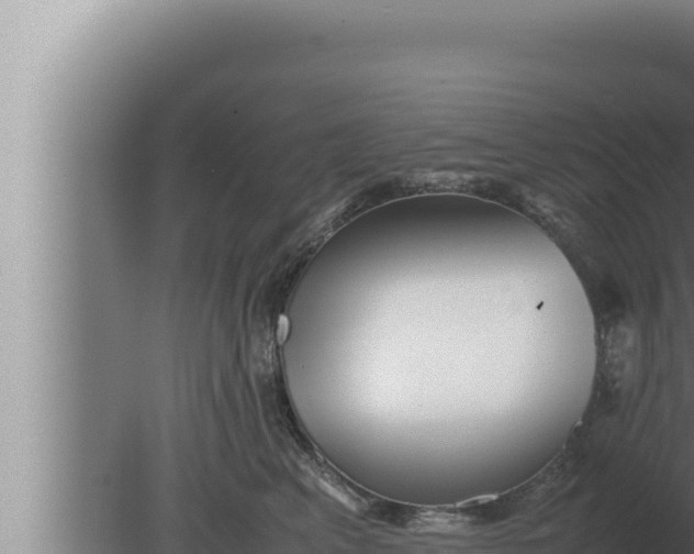 X0000080110617200612221806