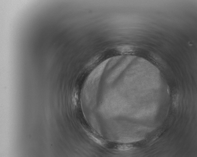 X0000080110618200612221806