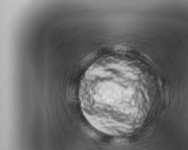 X0000080110619200612221806