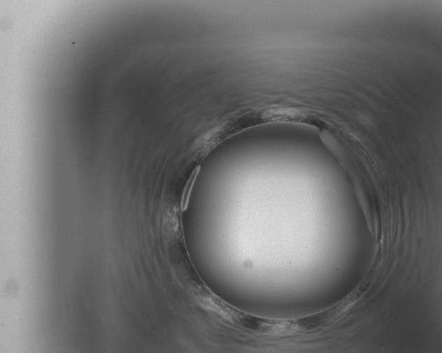 X0000080110621200612221806