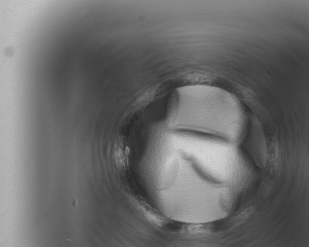 X0000080110622200612221806