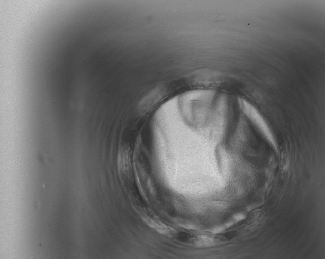 X0000080110623200612221806