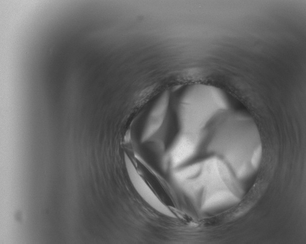 X0000080110624200612221806