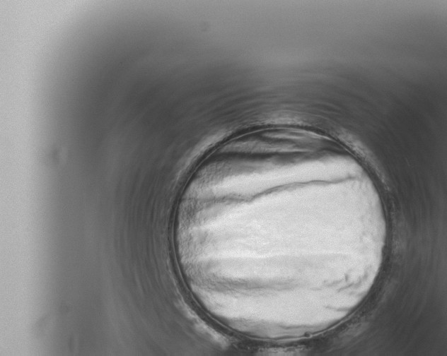 X0000080110625200612221805