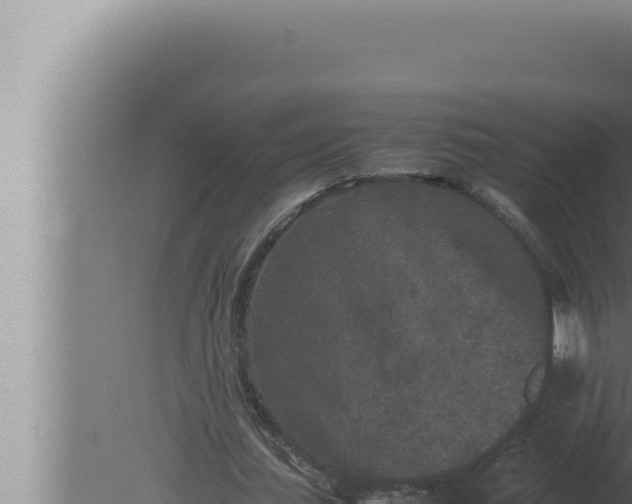 X0000080110627200612221805