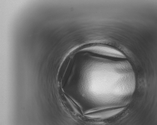 X0000080110628200612221805