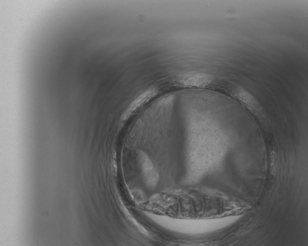 X0000080110634200612221805