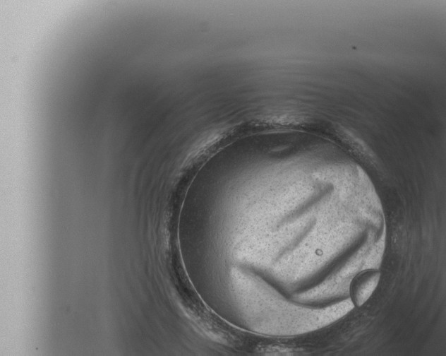 X0000080110635200612221805