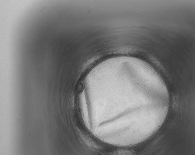 X0000080110636200612221805