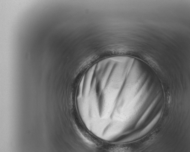 X0000080110638200612221805